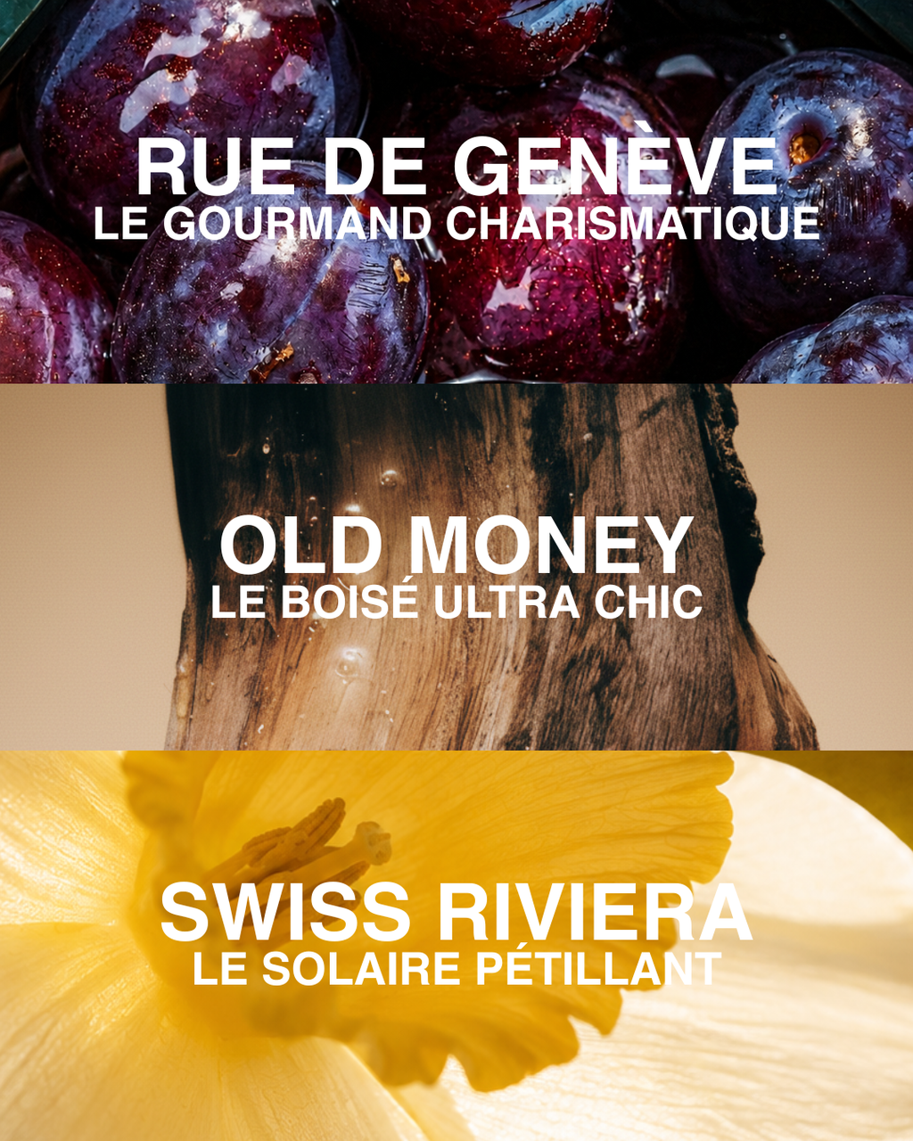 SWISS RIVIERA